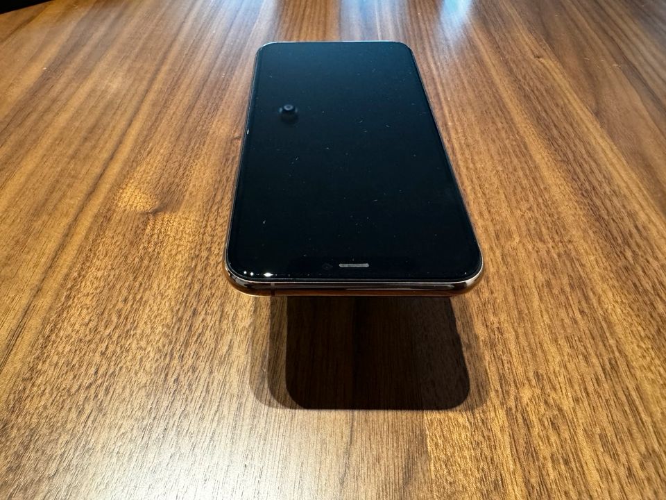 iPhone 11 Pro in Tacherting