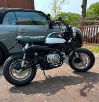 Honda Monkey 125 ccm Schleswig-Holstein - Kayhude Vorschau