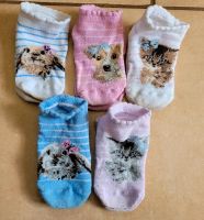 Sneakersocken Katze - Hase - Hund Sachsen - Treuen Vorschau