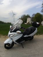 SUZUKI BURGMAN AN 650Z Nordrhein-Westfalen - Detmold Vorschau