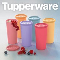 Tupperware Joghurt-Becher (6) NEU Rheinland-Pfalz - Rhens Vorschau