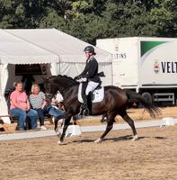 Deutsches Reitpony / Kinderpony Niedersachsen - Varel Vorschau