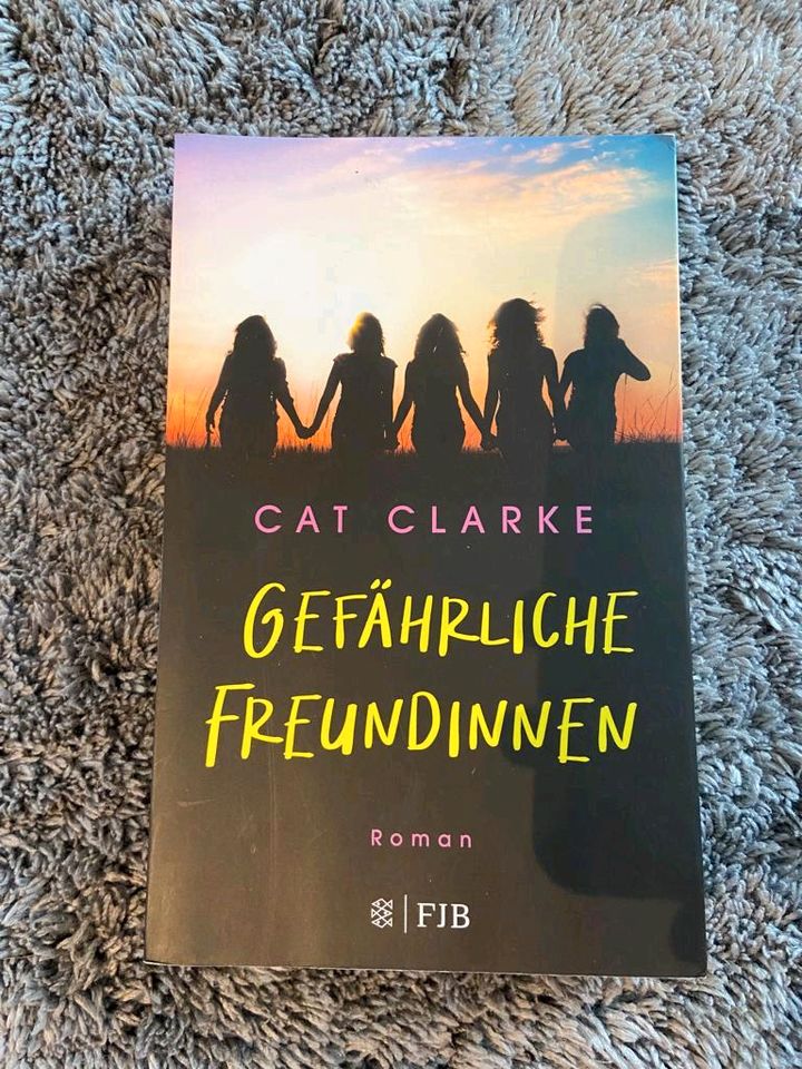 Roman "Gefährliche Freundinnen" von Cat Clarke in Dülmen