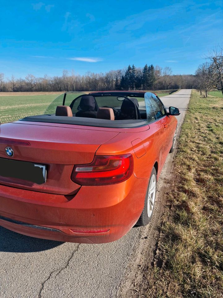 BMW Cabrio in Pilsting