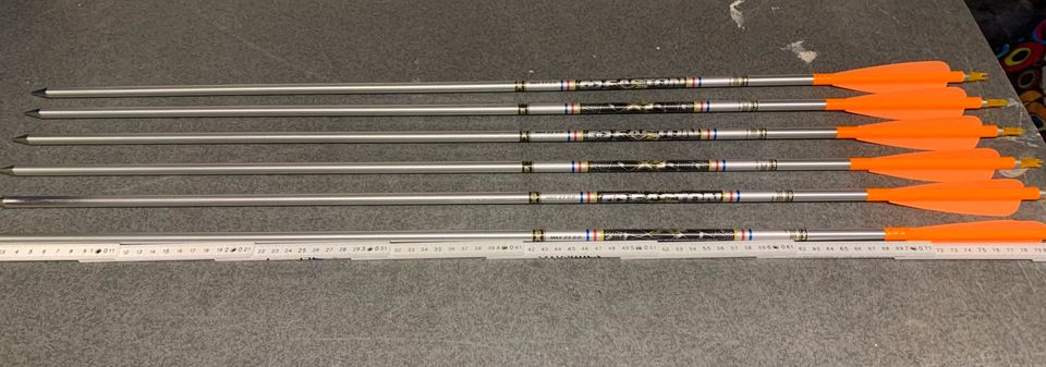 Easton Pfeile X23 in Rotenburg (Wümme)