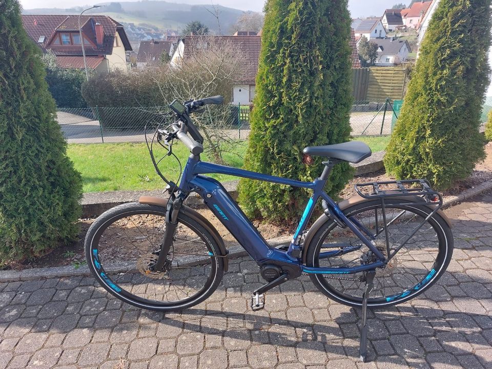 Giandt Anytour Treking Bike in Etschberg
