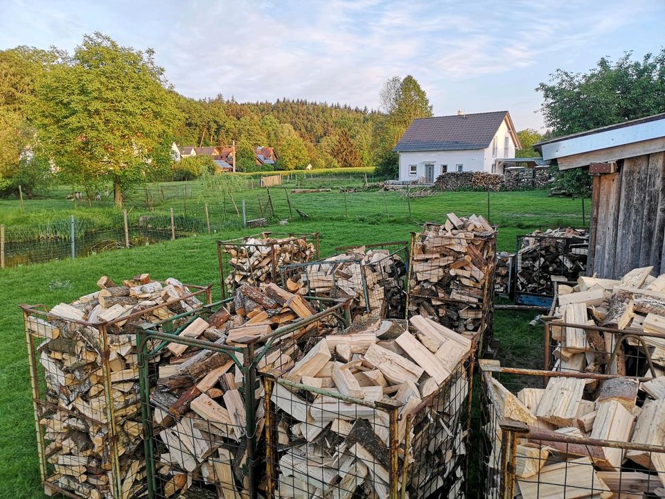 Brennholz ofenfertig trocken Hartholz in Schierling