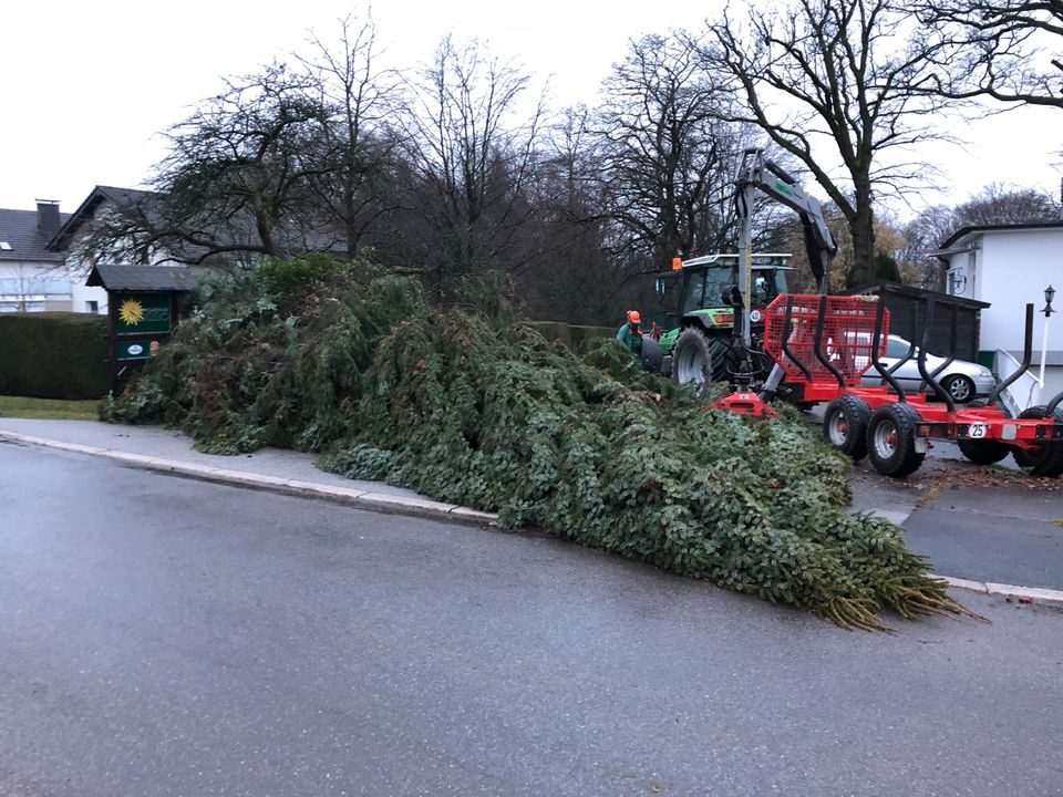 Sturmschadenbeseitigung Sturmschäden Sturmholz in Overath