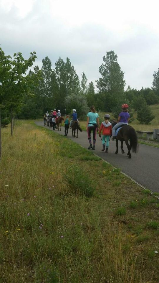 Reitferien Kinderreitferien Reiterferien Sommerferien 2024 in Gräfenhainichen