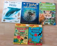 Tier Buch/ Wissensbuch für Kinder/ Wale/ Ravensburger Niedersachsen - Dorum Vorschau