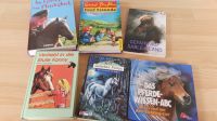 Verschiedene Pferde Bücher Sachsen - Heidenau Vorschau