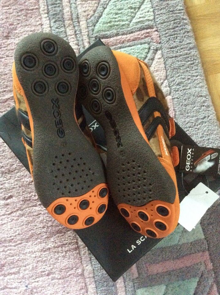 Geox Schuhe Sneaker Halbschuhe Sportschuhe Turnschuhe 32 neu Neu in Bad Tölz