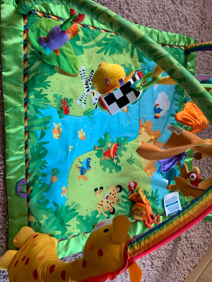 Fisher-Price Spielbogen, Rainforest, Spieldecke, in Dittweiler