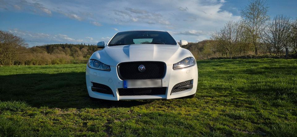 Jaguar XF 2.2 Diesel in Dannewerk