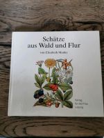 DDR Buch Schätze aus Wald und Flur Thüringen - Starkenberg Vorschau