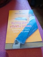 Richtig üben - effektiv  lernen Rheinland-Pfalz - Selters Vorschau