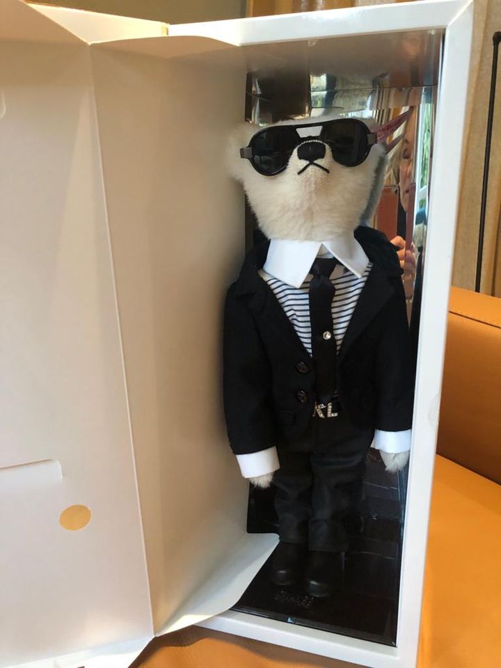 Karl Lagerfeld und Choupette von STEIFF in Pankow - Prenzlauer Berg | eBay  Kleinanzeigen ist jetzt Kleinanzeigen