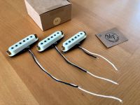 Mark Foley SRV Boutique Pickups Baden-Württemberg - Lottstetten Vorschau