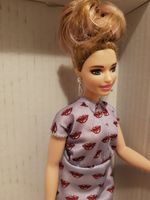 Barbies verschiedene Sorten mit Curvy Body Schwangere Niedersachsen - Peine Vorschau
