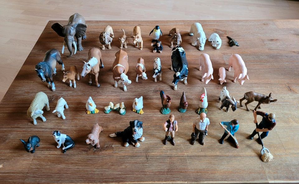 Schleich Figuren - von A bis Z alles dabei! in Großrudestedt