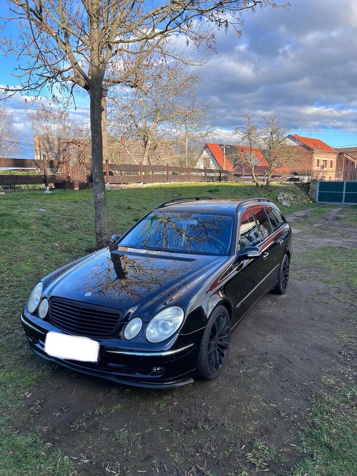 Mercedes E350 W211 in Osternienburger Land