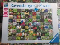 Ravensburger Puzzle 1000 Teile Nordrhein-Westfalen - Bottrop Vorschau