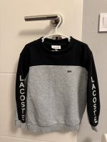 Lacoste Pullover 104 Düsseldorf - Flehe Vorschau