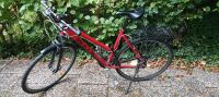 Bulls trekkingrad Crossbike Damen rh 54 Köln - Lindenthal Vorschau