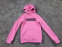 Puma Pullover gr 140 . Nordrhein-Westfalen - Oberhausen Vorschau