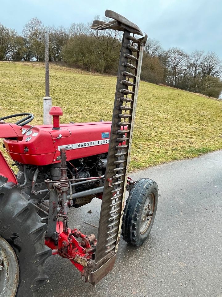 Massey Ferguson MF 133 im Originalzustand in Trendelburg