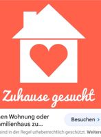 Berufstätiges Paar sucht 2-3 ZKBB in Münster Münster (Westfalen) - Centrum Vorschau