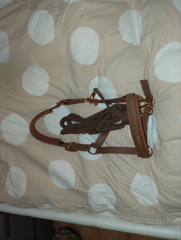 Eskadron Heritage Faux Leather, Almond, Cob Halfter und Strick in Leipzig