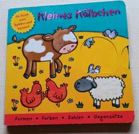 Kinderbuch zum Spielen und Lernen Sachsen-Anhalt - Nachterstedt Vorschau