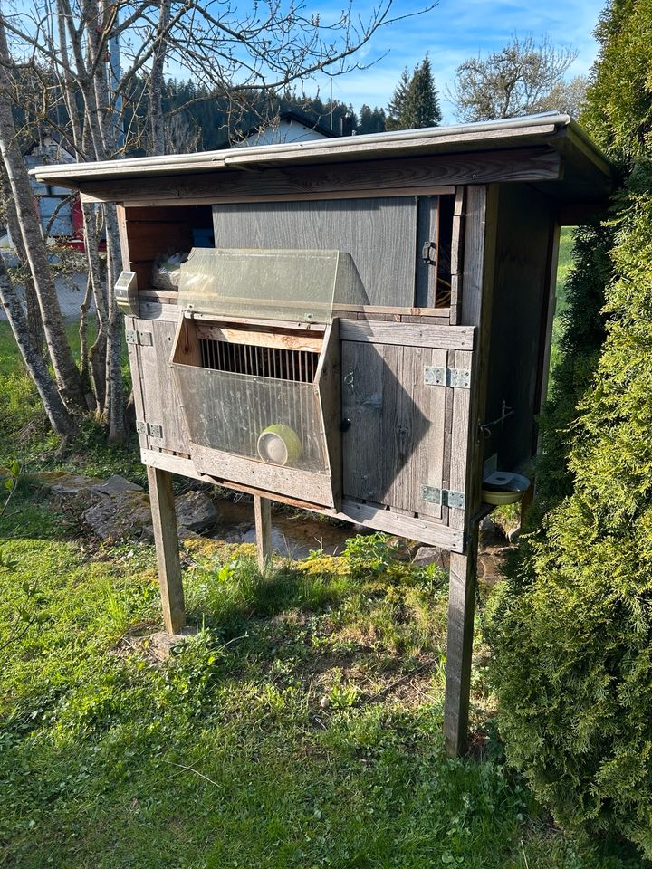 Kaninchenstall / oder andere kleine Tiere in Waldachtal