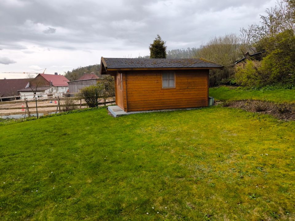 Idyllisches Einfamilienhaus in Raboldshausen mit Garten *** Jäger ist keine Pflicht, um hier einzuziehen *** in Neuenstein