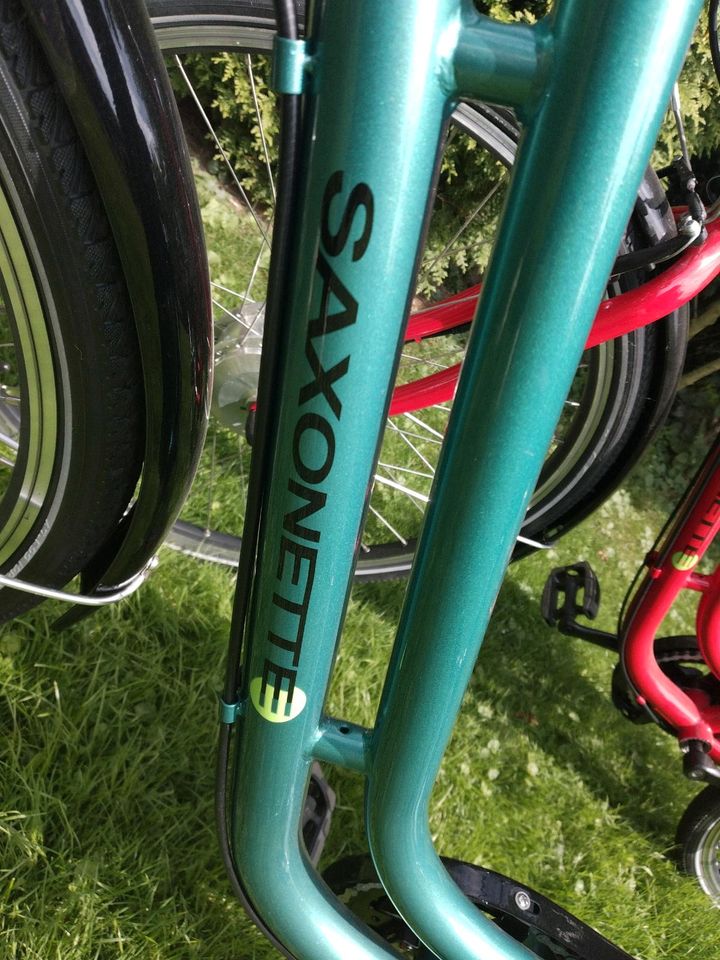 2 X City E Bike's 7 Gang saxonette Damen  Herren neuwertig in Schiphorst