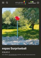 Basketball Surpriseball Espas Baden-Württemberg - Ottenhöfen Vorschau