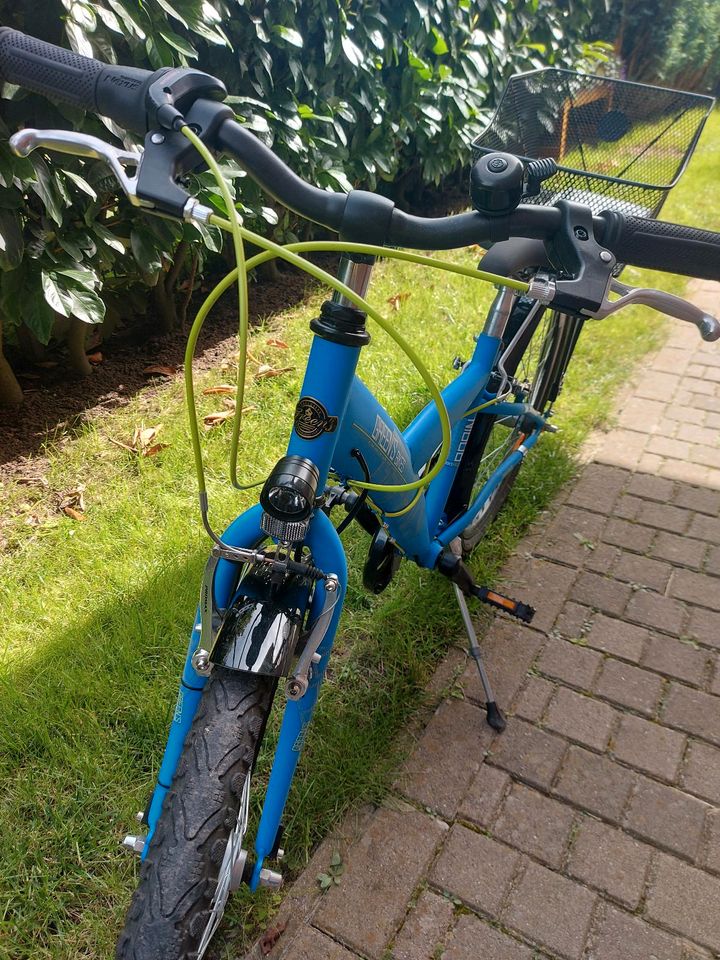 Fahrrad 24 Zoll GREENS in Neuenkirchen - Merzen