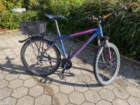 Mountainbike 26“ Shimano 24 G generalüberholt Checker PIG PATROL Kreis Pinneberg - Wedel Vorschau