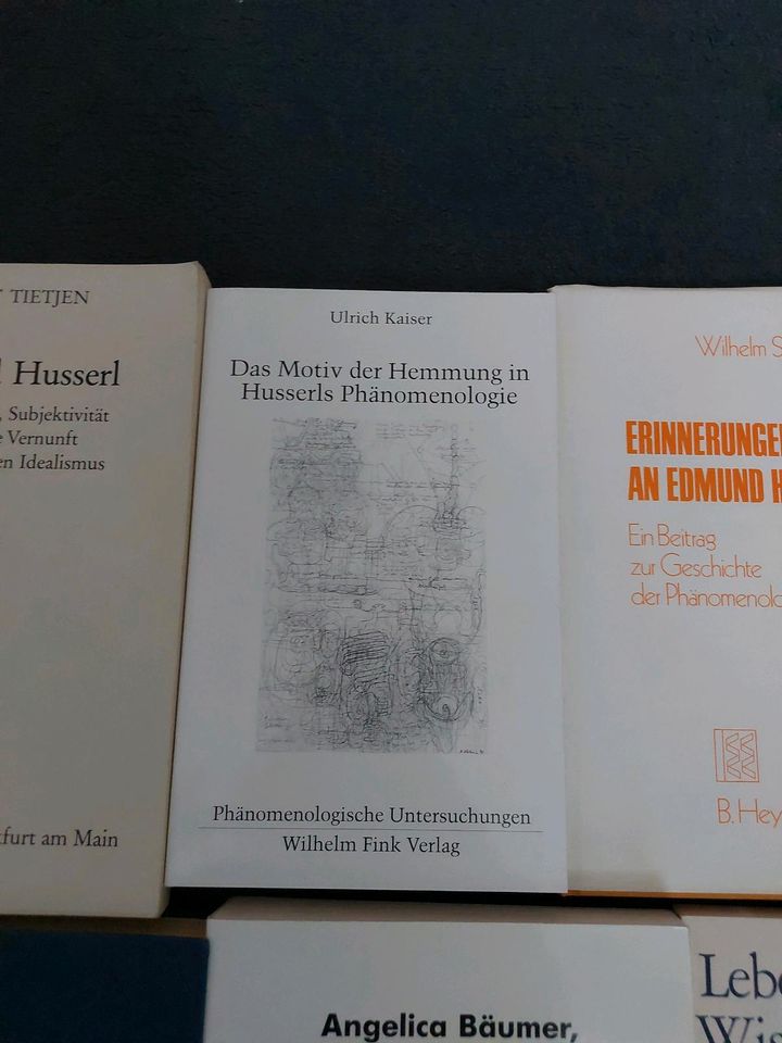Verschiedene Bücher zu Edmund Husserl in München