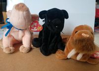 Beanie Baby - Schwein, Seelöwen, Hund Bayern - Germaringen Vorschau