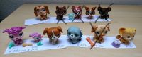 Littlest Pet Shop Tierchen G2 - Hunde Sachsen - Bautzen Vorschau