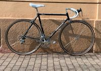 PINARELLO Asolo RH 54 - Rennrad - midnight black metallic Neuhausen-Nymphenburg - Neuhausen Vorschau