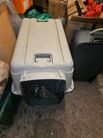 Hundetransportbox Rheinland-Pfalz - Braubach Vorschau