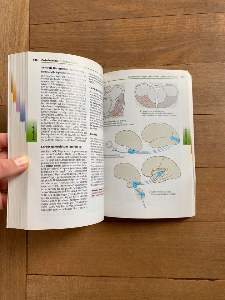 Taschenatlas Anatomie Nervensystem u. Sinnesorgane 9. Auflage in Frankfurt am Main