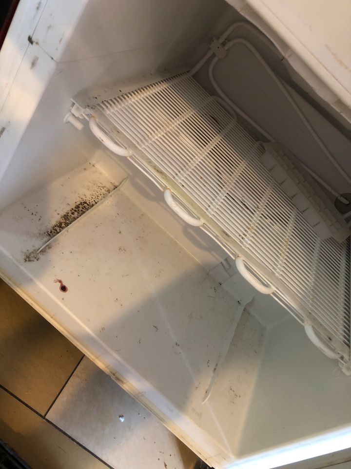 Kühlschrank mit Gefrierfach in Miltenberg