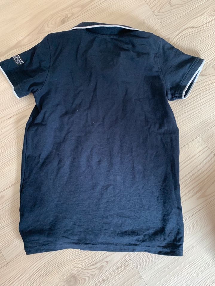 Poloshirt T-Shirt Jungen Größe 146/152 KEIN VERSAND!!! in Heppenheim (Bergstraße)