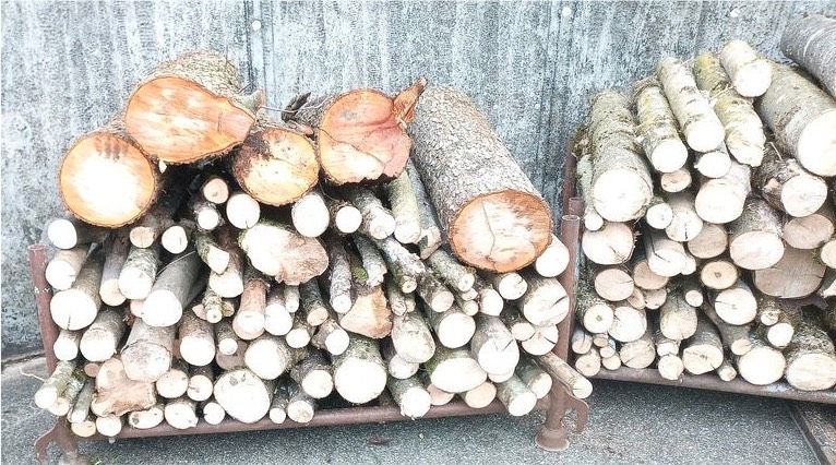 Brennholz Hartholz Esche Erle Stammholz Holz keine Eiche/Buche in Tettnang