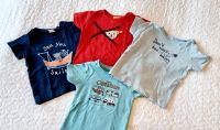 ⭐️Steiff, Noppies, Name it T-Shirts⭐️ Gr. 68 Essen-Borbeck - Essen-Vogelheim Vorschau