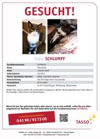 unseren kater schlumpf Bayern - Treuchtlingen Vorschau